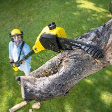 Best Organic Lawn Care Solutions  in Liberty Hill, TX